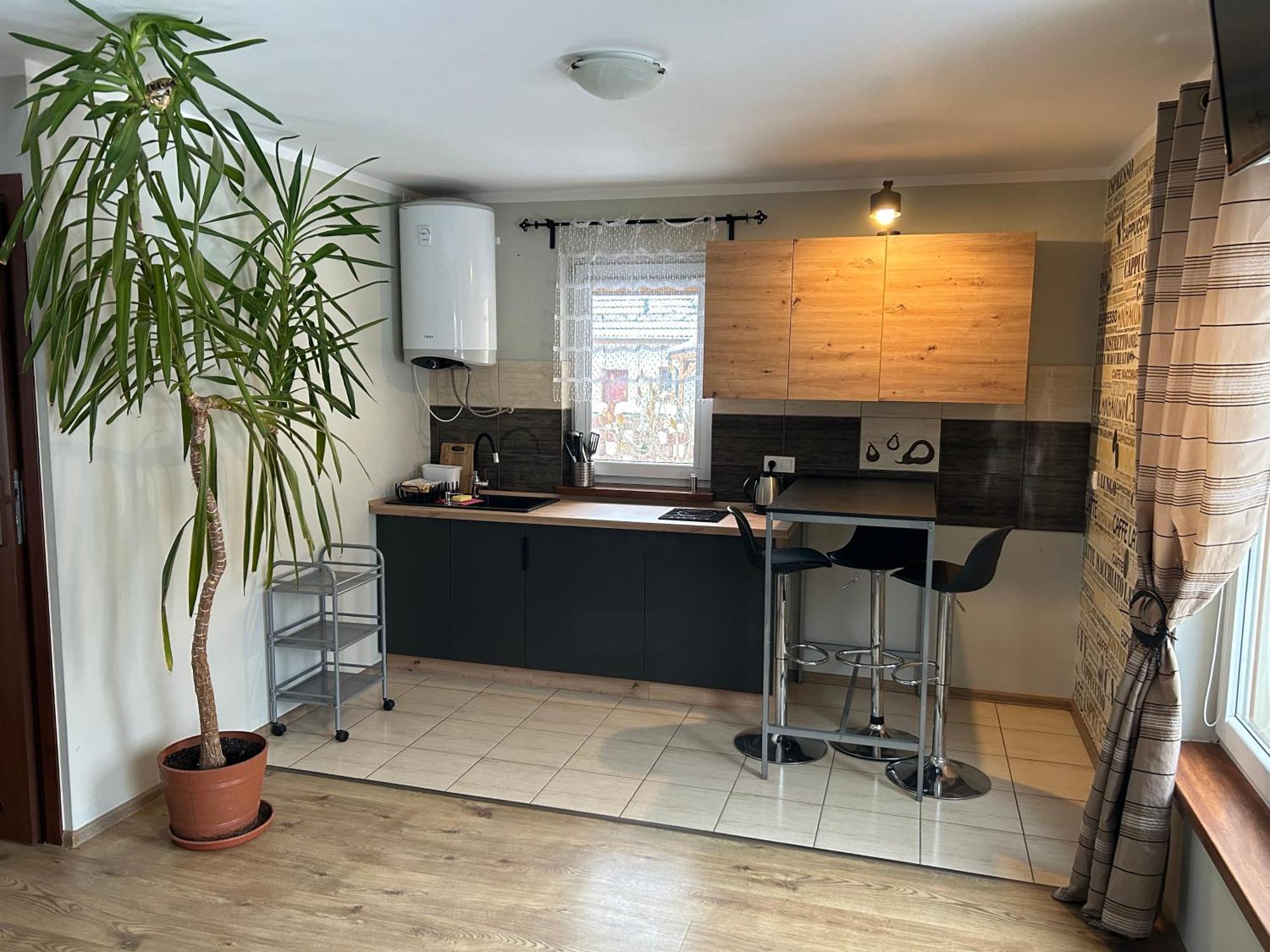 Apartamenty Antonio Kudowa-Zdrój Exteriér fotografie